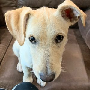 Meet your Posher, Tony